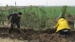 生態華全綠滿園